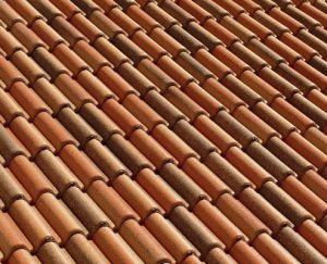 Coppo_di_Grecia_buccia_d_arancia_delphi